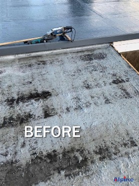Swansea RubberCover Roof